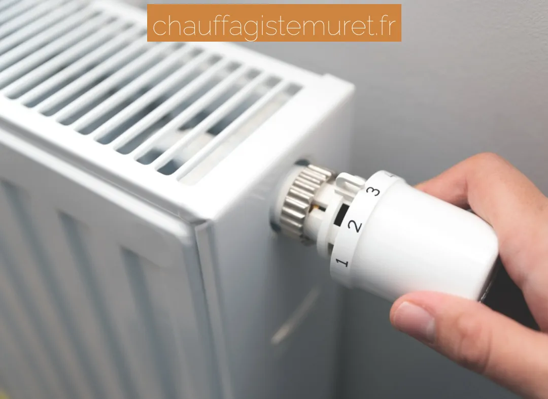 Remplacement de Thermostat Muret